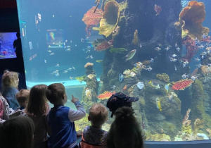 Dzieci oglądają ryby i inne stworzenia mieszkające w orientarium