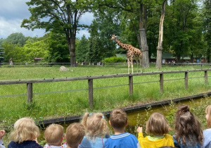 Dzieci obserwują żyrafę