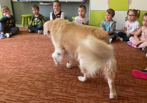 Pies podchodzi do dzieci siedzących na dywanie