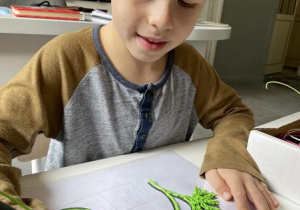 Chłopiec rysuje glony długopisem 3d