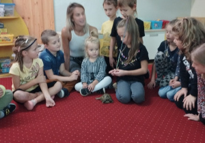 Sala przedszkolna. Mama jednej z dziewczynek prezentuje żółwia Franklina. Dzieci siedzą na dywanie w kole i z zaciekawieniem słuchają.