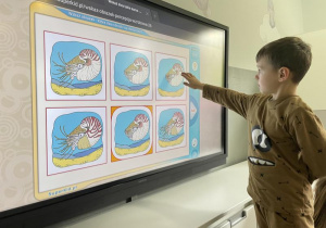 chłopiec rozwiązuje zadanie na ekranie multimedialnym