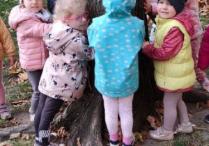 Dzieci dotykają kory drzewa