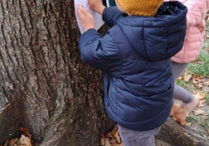 Dzieci kalkują korę drzewa