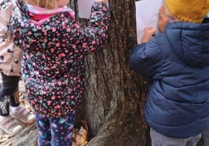Dzieci odrysowują korę drzewa metodą frotaż