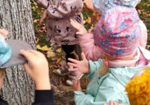 Dzieci oglądają swoje dłonie, na których odbiła się kora drzewa