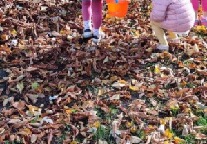 Dzieci zbierają kasztany ukryte wśród jesiennych liści