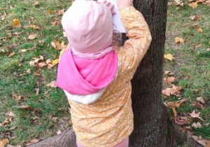 Dziewczynka kalkuje korę drzewa