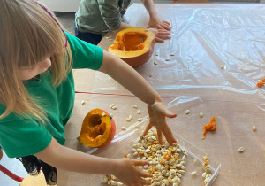 Dzieci przy stoliku wyciągają pestki z dyni