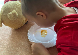 Chłopiec je miód z talerzyka