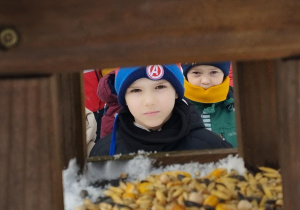 Karmnik dla ptaków. Dzieci zaglądają do karmnika, w którym są ziarna dla ptaków.