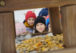 Karmnik dla ptaków. Dzieci zaglądają do karmnika, w którym są ziarna dla ptaków.