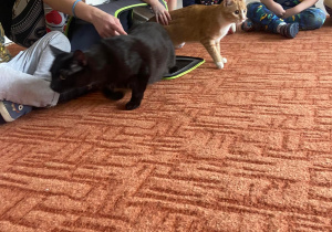 Dzieci na dywanie patrzą na dwa koty