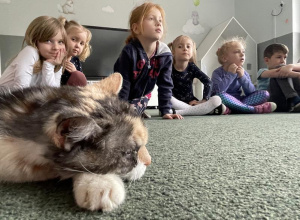 dzieci siedzą w kole na dywanie, a przy nich leży kot