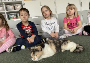 kotka leżąca na dywanie przed dziećmi