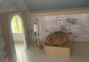chomik w domku dla lalek na drewnianym łóżeczku