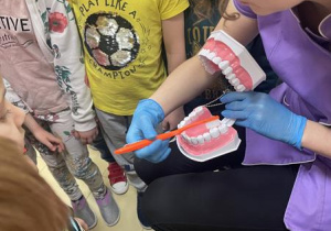pani stomatolog demonstruje na modelu szczęki jak prawidłowo myć zęby