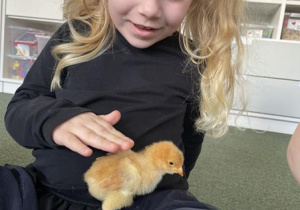 dziewczynka z kurczaczkiem