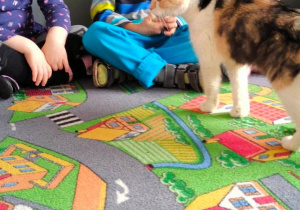 Dzieci siedzą na dywanie. Przed nimi spaceruje kot