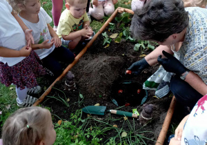 Dzieci przyglądają się jak pani układa cebulki tulipanów w koszyczku do sadzenia