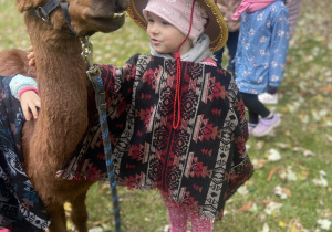 Dziewczynka w stroju meksykańskim głaszczę alpakę