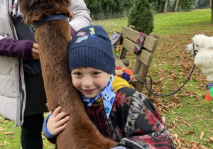 chłopiec przytula alpakę