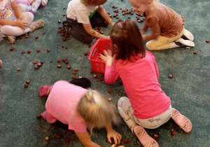 Dzieci zbierają kasztany na czas do czerwonego pojemnika