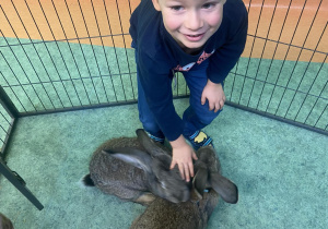 Chłopiec głaszczący dużego królika