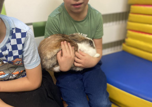 Chłopiec trzymający na rękach królika