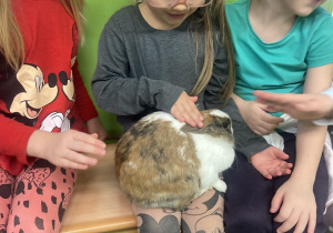 Dziewczynka głaszcząca królika którego trzyma na kolanach