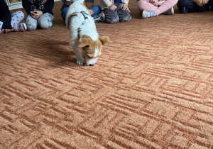 Dzieci patrzą na psa bawiącego się na dywanie
