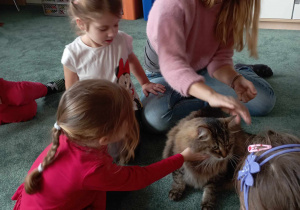 Dziewczynka głaszcze kotka siedzącego wśród dzieci i obok pani na dywanie