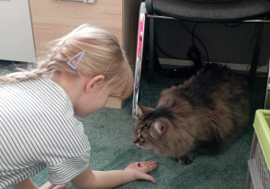 Dziewczynka podaje kotkowi ciasteczko