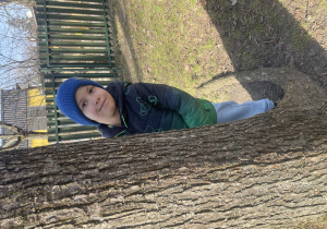 chłopiec wygląda zza drzewa